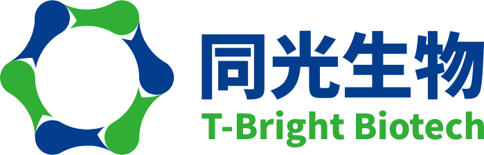 https://www.tbright.com/uploadfile/202511/832e1f0d5057db2.png